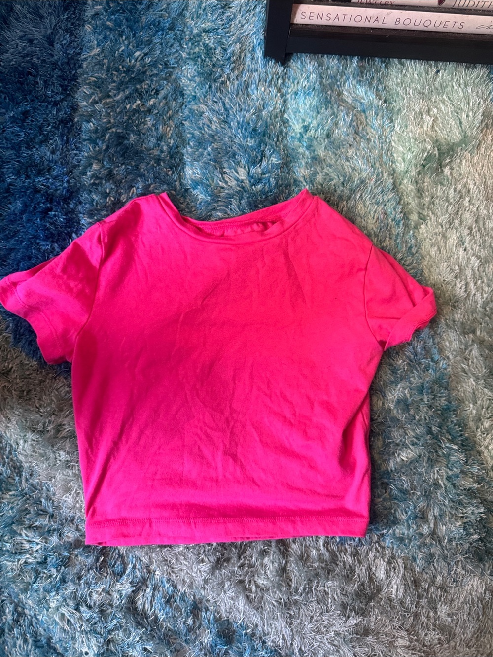Wild Fable Bright Hot Pink Crop Tee